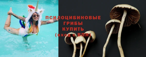 a pvp Вяземский