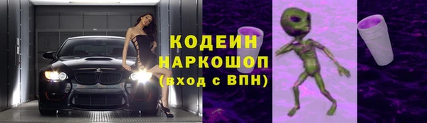 соль ск Снежногорск