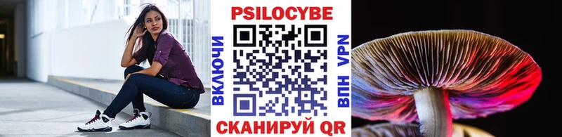 Псилоцибиновые грибы Cubensis  ОМГ ОМГ маркетплейс  Вихоревка  закладки 